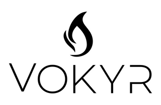 Vokyr