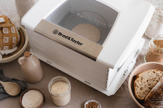 Brod & Taylor multifunctional dough rising and slow baking chamber 38 x 32 x 20,5 cm